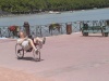 Holiday pictures at the lake of Annecy