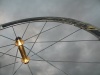 First M5 golden hub set in M5 carbon rims